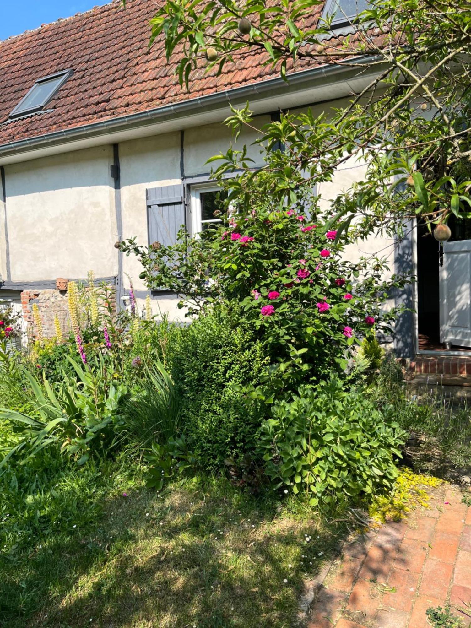 Chambre Cosy Bonnieres Екстериор снимка